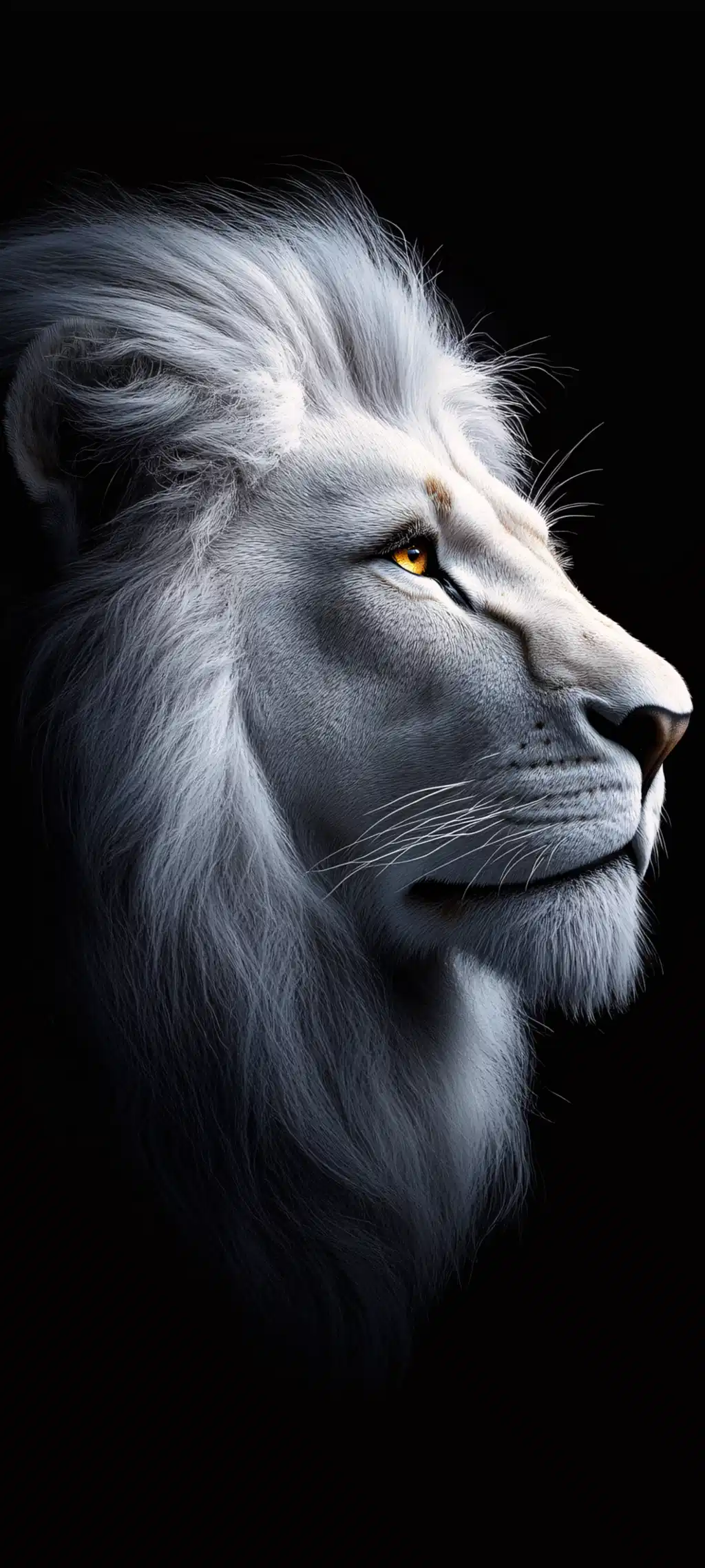White Lion Profile Monochrome Portrait