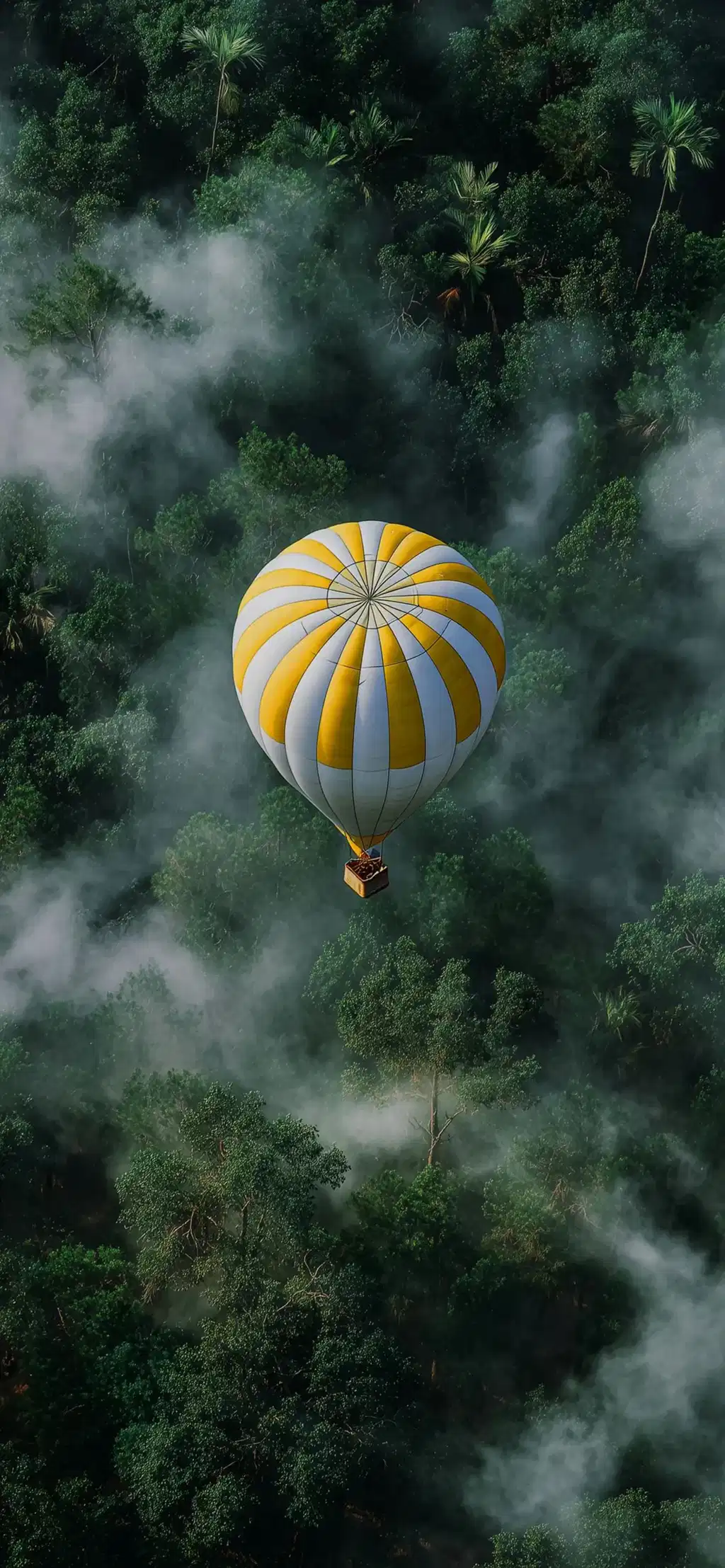 Hot Air Balloon Foggy Forest